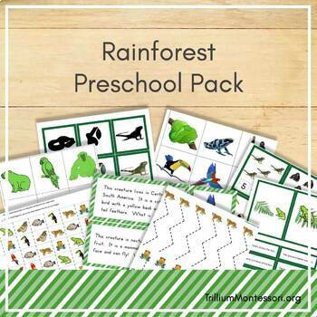 Preview of Rainforest Theme Preschool and PreK Skills