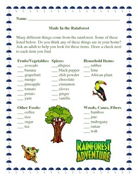 Rainforest Products Lesson Plan by Samantha Gilmer | TpT