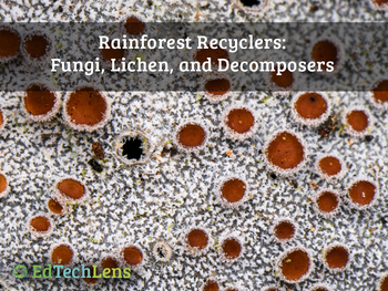 Preview of Rainforest Recyclers: Fungi, Lichen, and Decomposers Distance Learning PDF