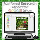 Google Drive Rainforest Animal Research
