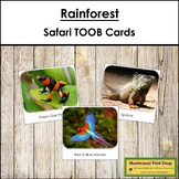 Rainforest Safari TOOB Cards - Montessori