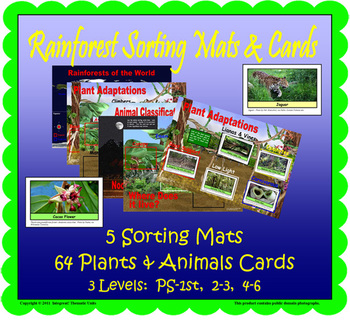 Preview of Rainforest Sorting Mats and Cards (Included in Rainforest: Map Mural Minimuseum)
