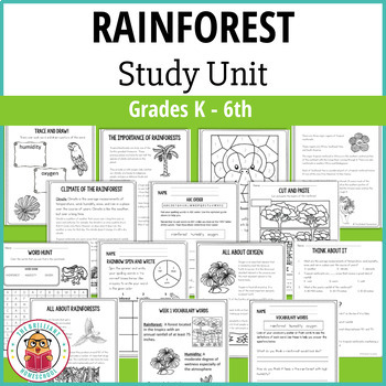Preview of Rainforest Study Unit