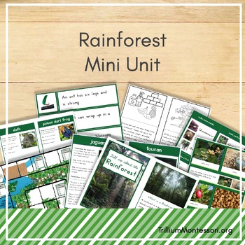 Preview of Rainforest Unit