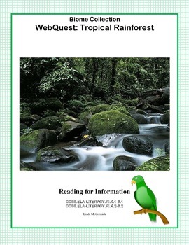 Preview of Rainforest WebQuest
