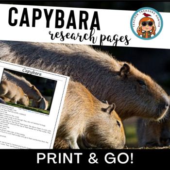 Preview of CAPYBARA Rainforest animal Pages for Animal Report 1st 2nd 3rd grade