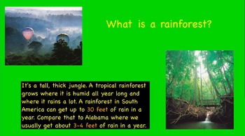 Preview of Rainforest flip chart