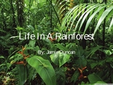 Rainforest habitat slide show - focusing on strata and rai