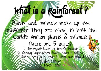 Preview of Rainforest information fact posters - Sustainability