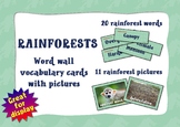 Rainforest words and pictures for class display