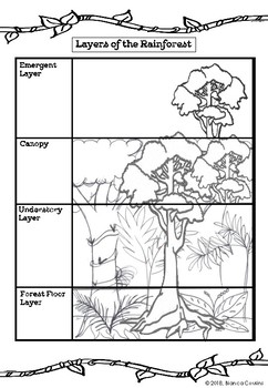 Rainforest worksheets and activities pack by Koala Classroom | TpT
