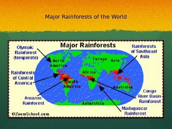 Rainforests by Tales of a Grade School Teacher | TpT