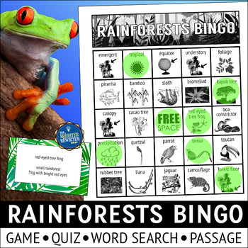 Preview of Rainforests Bingo Game and Activities