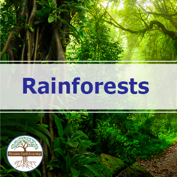 Rainforests | Video Lesson, Handout, Worksheets | Environmental Earth ...