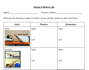 Preview of Range of Motion Lab