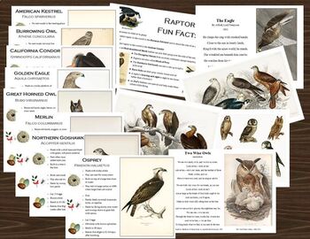 Preview of Raptor Facts Printable Flash Cards and Learning Printables- Exploring Nature