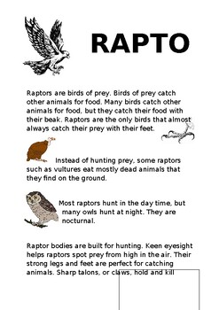 It's Raptober week two, and that means it's time for another #art prompt.  Raptors are #birds of prey, so the prompt for this week is…
