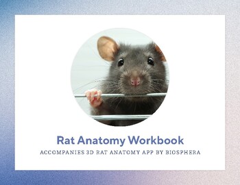 Preview of Rat Anatomy Workbook - Dissection Alternative