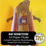 Rat Paper Dissection - Scienstructable 3D Dissection Model