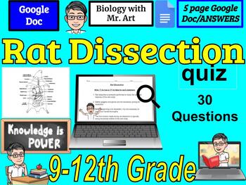 Preview of Rat Dissection quiz- college- 30 True and False Questions with Answers 