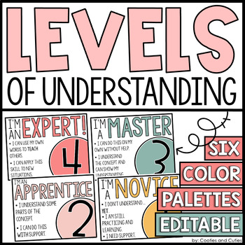 Preview of Levels of Understanding Posters | Editable Self Assessment Posters
