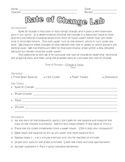 Rate of Change Lab