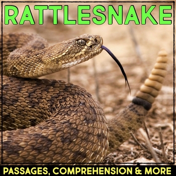 Preview of Rattlesnake Animal Research Nonfiction Reading Passage & Comprehension