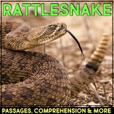 Rattlesnake Animal Research Nonfiction Reading Passage & C