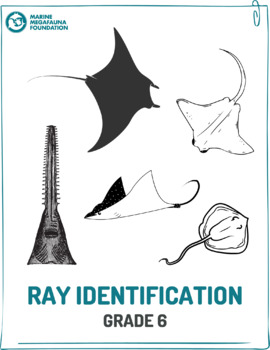 Preview of Ray Species Identification