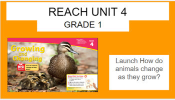 Preview of Reach National Geographic Grade 1 Unit 4 ESL