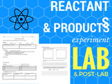 Reactants and Products - Chemical Reactions Lab