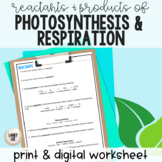 Reactants and Products of Photosynthesis and Respiration
