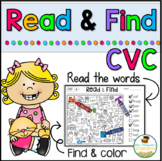 Read & Find - Hidden Picture Puzzles CVC Words