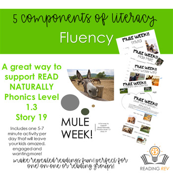 Preview of Read Naturally- Fluency Made Fun! Phonics Level 1.3 Story 9 Extensions