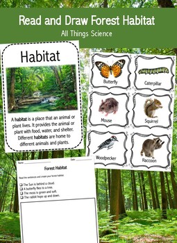 Read and Draw Forest Habitat Reading Comprehension Set by All Things Science