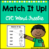 Read and Match CVC Words