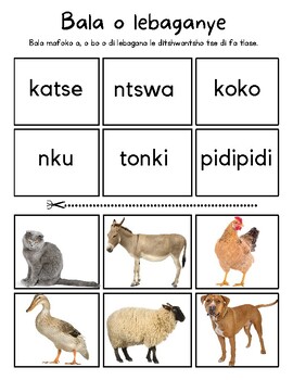 Preview of Read and Match animal in Setswana- Botswana