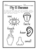 Read and Respond 5 Senses Station