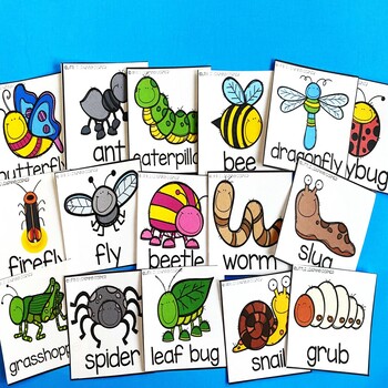 Write the Room - Bugs and Insects by Little Learning Corner | TpT