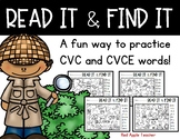 Read it & Find it!--CVC and CVCe Pracitice