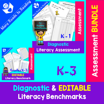 Preview of Reading Assessment Diagnostic & EDITABLE Benchmark
