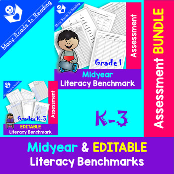 Preview of Reading Assessment Midyear MOY & EDITABLE Benchmark