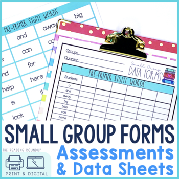 Preview of Reading Assessments and Small Group Data Tracking Sheets
