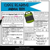 Reading Comprehension What if you had Animal Teeth | Close