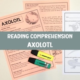 Reading Comprehension Axolotl