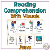 Reading Comprehension Books - Picture & Visual Choices - P
