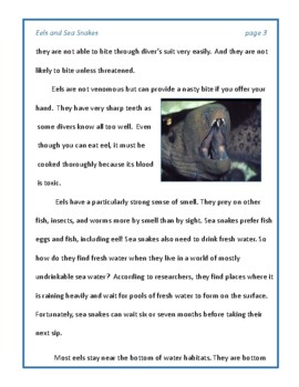 Short Story - Ella's Quest for Eel (Reading Comprehension - Middle School)