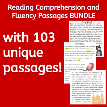 Preview of Reading Comprehension/Fluency Passages - Decodable, Guided Reading - 1st/2nd