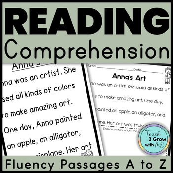 Preview of Reading Comprehension Fluency Passages and Questions 1st & 2nd Grades ALL YEAR