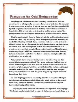 Reading Comprehension - Grade 6 (6th Grade) - Non-fiction Story: Platypus